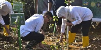 Festival Mangrove ke-4 di Trenggalek, Bupati: Gubernur Konsen Lingkungan Hidup dan Ekonomi