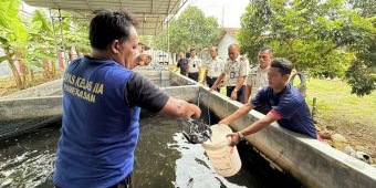 WBP Lapas Pamekasan Panen Lele dan Pisang, Disalurkan ke Program MBG