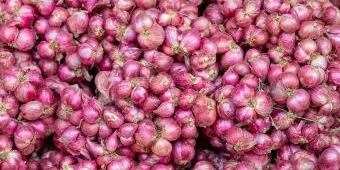 Update Harga Sembako Bali 15 Juni 2025, Bawang Merah dan Cabai Rawit Hijau Naik