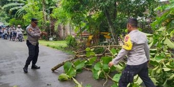 Antisipasi Tumbang di Musim Hujan Polsek Widodaren Ngawi dan Relawan Lakukan Pemotongan Pohon