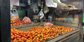 Harga Pangan Lumajang 8 Februari 2026: Cabai Keriting Rp35.333/kg, Tomat Rp4.500/kg