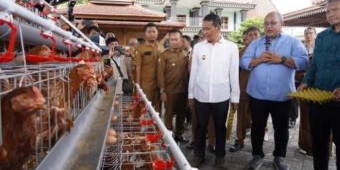 ASN Bojonegoro Wajib Beli Telur Lokal, Bupati Terbitkan Aturan Khusus