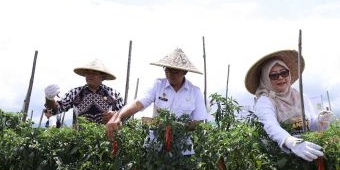 Pemkot Batu Apresiasi Program PT PELNI: Pemberdayaan Petani di Desa Pandanrejo