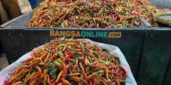 Harga Cabai Rawit di jatim Semakin Melejit, Simak Daftar Lengkap Sembako per 4 Desember 2025