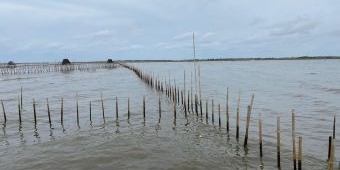 Keganjilan Pagar Laut Misterius