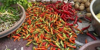 Harga Sembako Jatim Hari ini, Cabai Rawit Merah Rp82.563/kg