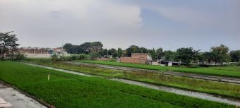 Pemkot Pasuruan Bebaskan Tarif PBB-P2 Sektor Pertanian, Wujud Dukungan Nyata untuk Petani