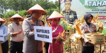 Dukung Ketahanan Pangan, Kapolres Magetan Bersama Forkopimda Panen Raya Jagung