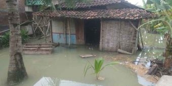 Kali Lamong Kembali Meluap, 6 Desa di Balongpanggang Gresik Terendam