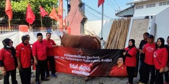 PDIP Kabupaten Kediri Kurban Sapi Berbobot 1,2 Ton Sumbangan Keluarga Menseskab Pramono