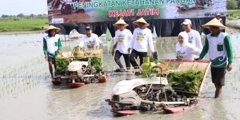 Lewat Program Jaksa Sahabat Tani, Pemkab Gresik, Kejati Jatim dan Petrokimia Dukung Ketahanan Pangan