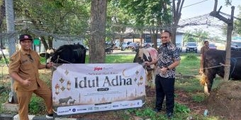 JIIPE Perkuat Kepedulian Sosial Lewat Penyaluran Hewan Kurban