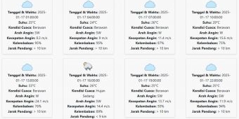 Cuaca Kota Mojokerto Hari ini Jumat, 17 Januari 2025: Hujan di Sore Hari