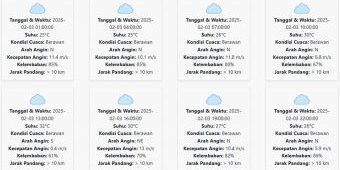 Prakiraan Cuaca Jember Hari ini Senin, 3 Februari 2025: Suhu 25-32 °C, Kecepatan Angin 8.97 m/s