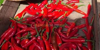 Fluktuasi Harga Sembako Surabaya Jelang Lebaran: Cabai Besar Merangkak Naik, Rawit dan Daging Turun