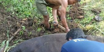 Damkar Pos Pare Evakuasi Sapi Terjebak Limbah di Badas