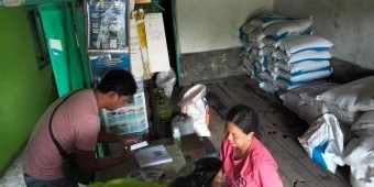 Penebusan Pupuk Subsidi di Lumajang Meningkat, Stok Aman Sejak Awal 2026