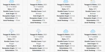 Cuaca Jember Hari ini Jumat, 17 Januari 2025: Siang hingga Sore Hujan Ringan