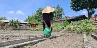 Lapas Kediri Tanam Terong Bersama WBP, Dorong Kemandirian Lewat Program SAE