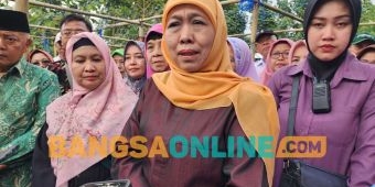 Jelang Iduladha 2025, Gubernur Jatim Sebut Tak Ada Ternak Terpapar PMK