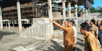 Dukung Program MBG, Wabup Blitar Cek Langsung Produktivitas Peternakan Ayam Petelur