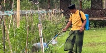 Ubah Kemustahilan Jadi Keniscayaan, PHE WMO Kembali Raih Proper Emas 2024