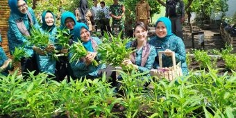 Kunjungan ke Bangkalan, Ketua PKK Jatim Dorong Penurunan Angka Stunting Lewat Penanaman Hortikultura