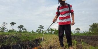 Rintis Budidaya Menanam Lewat Hidroponik di Nganjuk 