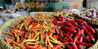 Perubahan Harga Pangan Bali 14 Oktober 2025, Cabai Besar dan Keriting Melonjak