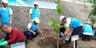 Peringati Bulan K3 Nasional, PLN Jatim Gelar Aksi Tanam Pohon