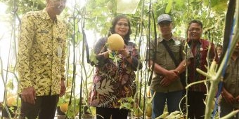 Pj Wali Kota Kediri Petik Melon di P4S Langgeng Mazaya