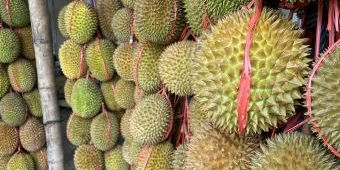 Ampuh Cegah Kanker Payudara, Ini Sederet Manfaat Konsumsi Durian Bagi Tubuh