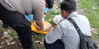 Terminal Bungurasih Digegerkan Temuan Kardus Berbau Busuk Diduga Berisi Bayi, Ternyata...