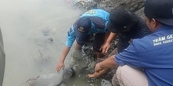 Hilang Sejak Minggu, Bocah 10 Tahun Ditemukan Meninggal di Sungai Jalan Kalimas Barat