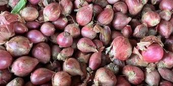 Harga Sembako Jatim Kamis 5 Juni 2025: Bawang Merah Rp38.717/kg, Cabai Rawit Rp33.558/kg