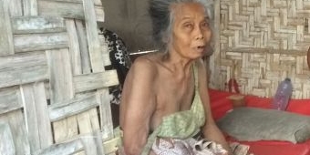 Hidup Sebatang Kara, Tunawicara, dan Lumpuh, Nenek di Jember ini Butuh Perhatian Pemerintah