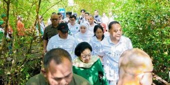 Gubernur Khofifah Optimis Kebun Raya Mangrove Surabaya Dongkrak Kesejahteraan Masyarakat Pesisir