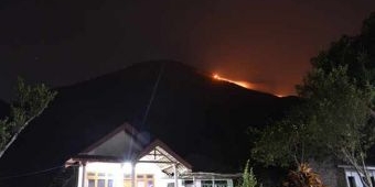 Kebakaran Gunung Penanggungan, Nasib 3 Pendaki Belum Jelas 