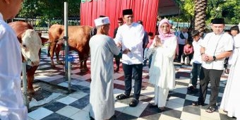 Polda Jatim Distribusikan Ratusan Hewan Kurban di Pesantren hingga Yayasan Yatim Piatu
