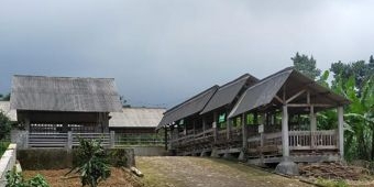Pemkab Pasuruan Matangkan Transformasi UPA Jadi Arjuno Agro Technopark