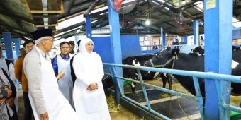 Gubernur Khofifah: KPSP Nongkojajar Jadi Model Nasional Produksi Susu Bebas Limbah dan PMK