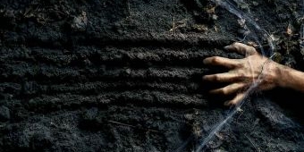 Aktivis Greenpeace Dapat Kiriman Bangkai Ayam dan Pesan Teror Ancam Keluarga