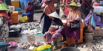 Pasokan Berkurang, Harga Ikan di Lamongan Cenderung Naik