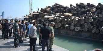 BPKP Apresiasi Satgas PKH Ungkap Ilegal Logging Rp240 Miliar di Gresik