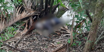 Identitas Mayat di Semak-semak Bangkalan Terungkap, Ini Motif Pelaku Pembunuhan
