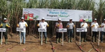 Kolaborasi Petrokimia dengan PG Rajawali Sukses Tingkatkan Pendapatan Petani Tebu di Malang