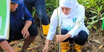 Peringati Hari Gerakan Sejuta Pohon, Khofifah Ajak Masyarakat untuk Sedekah Oksigen