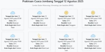 Prakiraan Cuaca Jombang Hari ini Selasa, 12 Agustus 2025: Suhu 22-30°C, Kecepatan Angin 15.5 m/s