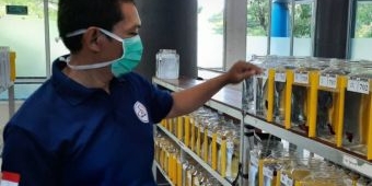 Jadi Penghasil Cupang Istimewa di Indonesia, Kediri Siap Sambut Kontes Berhadiah Mobil