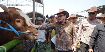 Bupati Dhito Targetkan Kontes Sapi Kediri Jadi yang Terbaik di Jatim